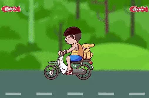 Thanh niên bị trộm chó trong một nốt nhạc