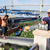 Khám nghiệm hiện trường, điều tra vụ thi thể chưa rõ giới tính trôi trên sông tại Đồng Tháp