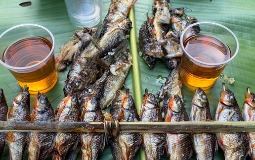 A hidden delicacy in forests of Vietnam's Truong Son mountains