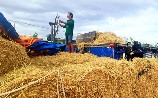 Straw traders: Hard life on Vietnam’s Mekong Delta waterways