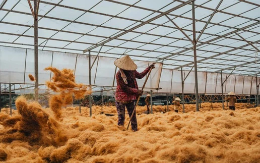 Picturesque photo series of Ben Tre by Ho Chi Minh City photographer