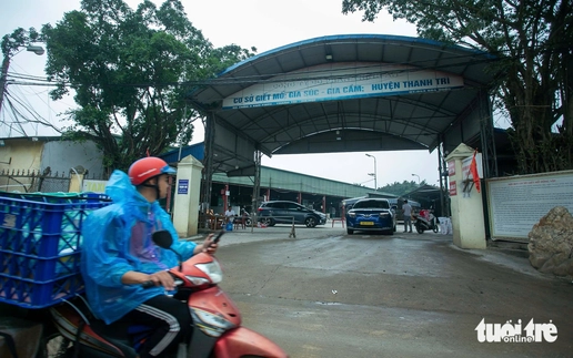 Hanoi slaughterhouse shuttered after 300-tonne diseased pork scandal