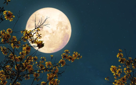 Vietnam to witness 2025’s most spectacular Beaver Moon on November 6