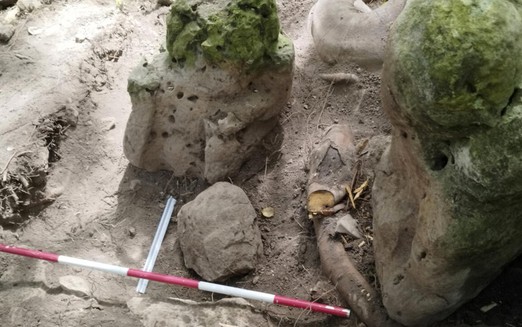 Remains of Mayan city nearly 3,000 years old unearthed in Guatemala