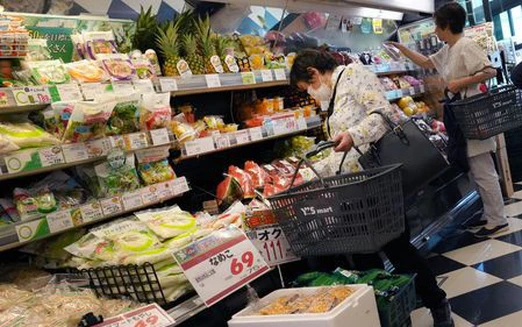 Living conditions index hits lowest level in 15 years in Japan