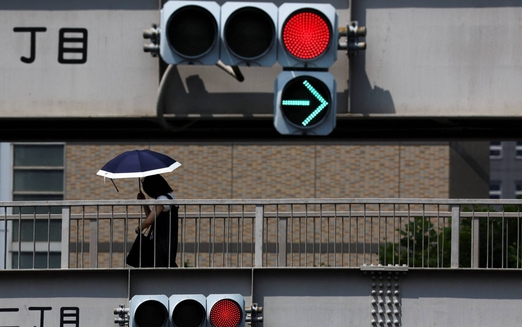 Japan insurer to launch policy linked to bear culling