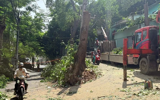 Road leading to Vung Tau’s 164-year-old lighthouse set for upgrade