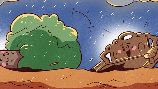 Trận lũ đưa cặp đôi cây rừng gặp lại nhau sau 10 năm xa cách