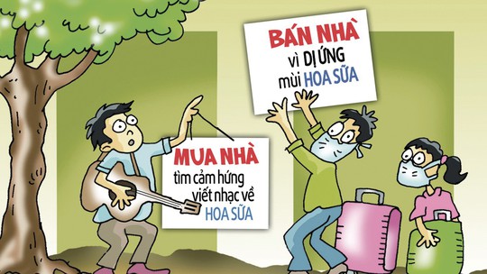 Mua nhà vì hoa sữa, bán nhà cũng tại hoa sữa