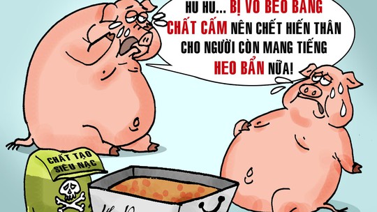 Ai đã ăn phải 10.000 tấn heo sử dụng chất cấm?