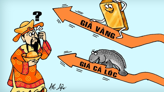 Cá lóc sợ nhất Thần Tài