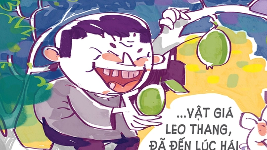 'Quỹ bình ổn mồi nhậu' thời giá cả leo thang