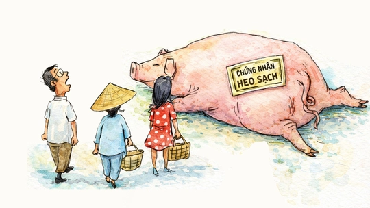 300 tấn heo bẩn vào trường học: Tay có sạch mới chứng nhận được heo sạch