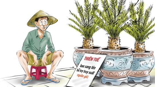Shop cây kiểng hỗ trợ truy xuất nguồn gốc