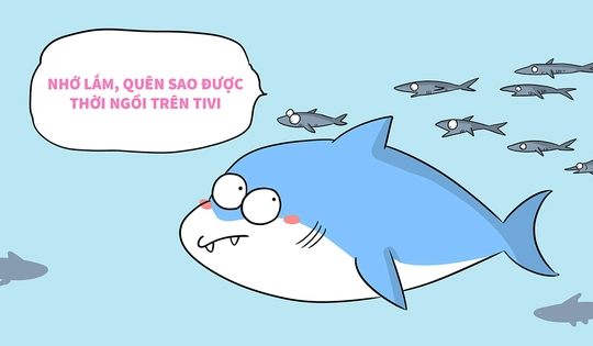 Bài học thiết thực từ cá mập hay nói đạo lý