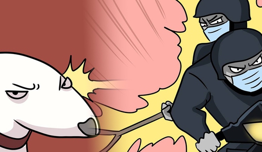 Khi Diệp Vấn 'nhập' cậu Vàng