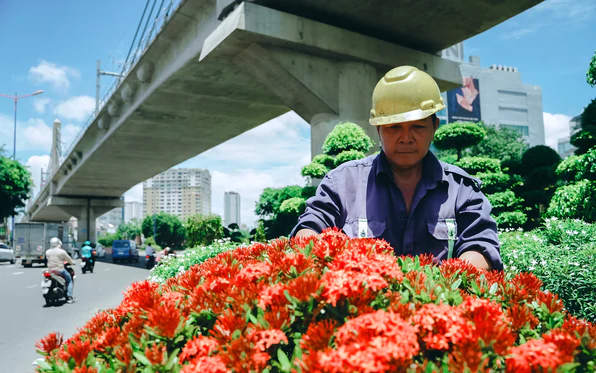 TP.HCM biến đường phố, nhà chờ xe buýt thành những ‘khu vườn nhỏ’