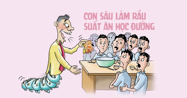 Con sâu làm rầu suất ăn học sinh - Tuổi Trẻ Online