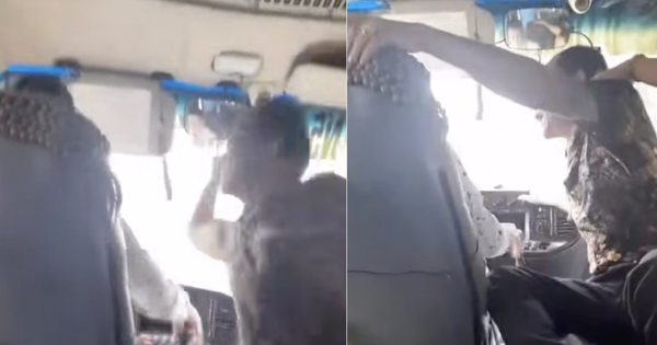 Bus driver assaulted by passenger while bus in motion in north-central ...