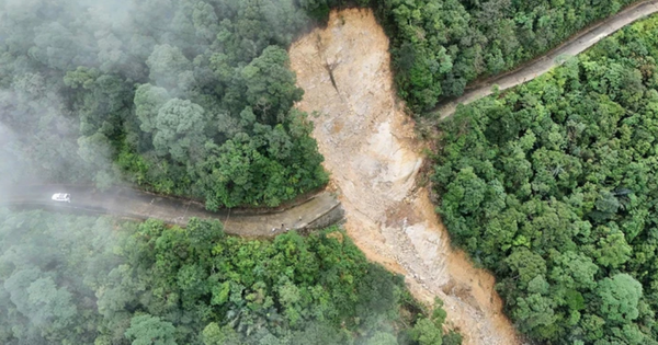 Vietnam indefinitely halts Bach Ma Mountain tourism after severe landslides