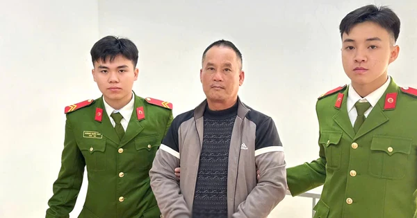 Vietnam detains former market surveillance official on murder charge