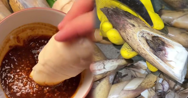 Ăn măng thế nào để không ảnh hưởng đến sức khỏe?