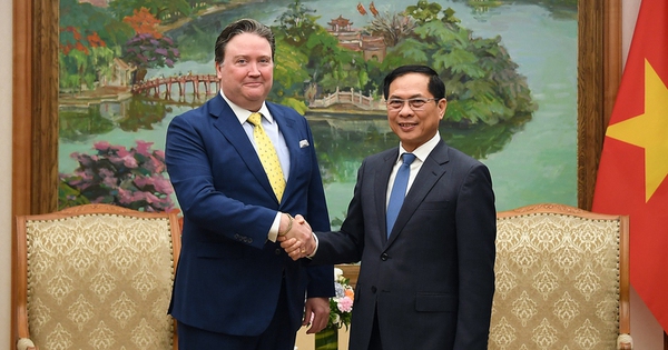 Vietnam swiftly, positively responds to US tariff: Ambassador Knapper
