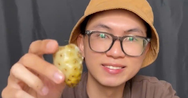 Trái nhàu có gì đặc biệt mà nhiều Tiktoker rủ nhau ăn thử?