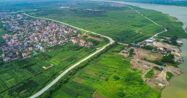 news.tuoitre.vn