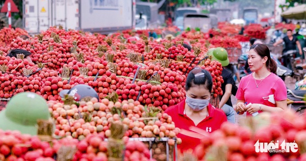 Trắc nghiệm: Tỉnh Bắc Ninh được sáp nhập từ tỉnh nào?