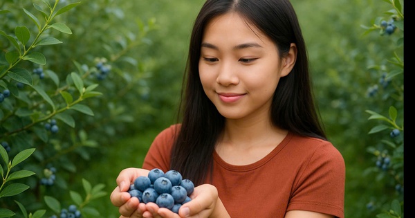 5 loại thực phẩm tăng cường trí nhớ tốt