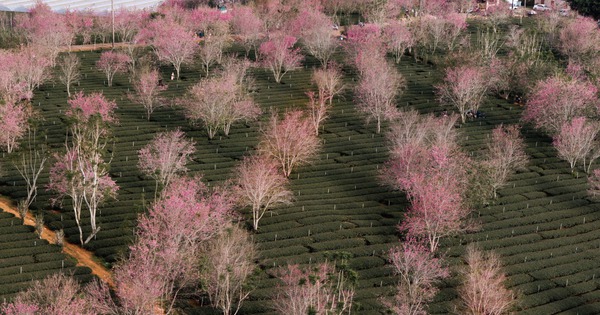 Breakfast @ Tuoi Tre News - January 10