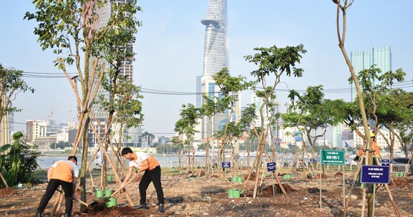 View - Hundreds of trees planted at Thu Thiem riverside park to mark first Vietnam Tree Day