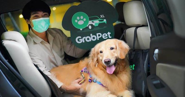 Grab to pilot pet-friendly car service in Ho Chi Minh City with added fee