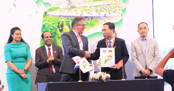 Vietnam, Netherlands discuss tackling saline soils in Mekong Delta