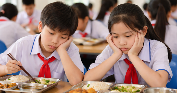 Ho Chi Minh City launches comprehensive review of school meals over safety concerns