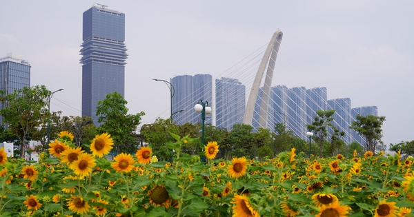 Breakfast @ Tuoi Tre News &mdash; January 7