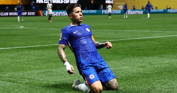 Chelsea 관련 보도 이미지