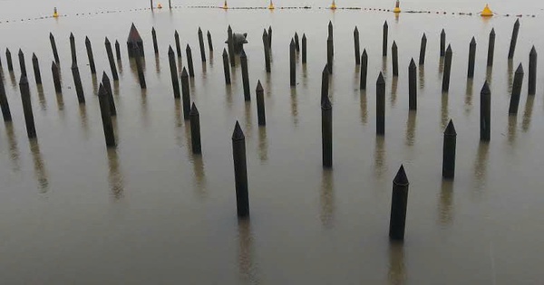 When a small Vietnamese team outsmarts a giant