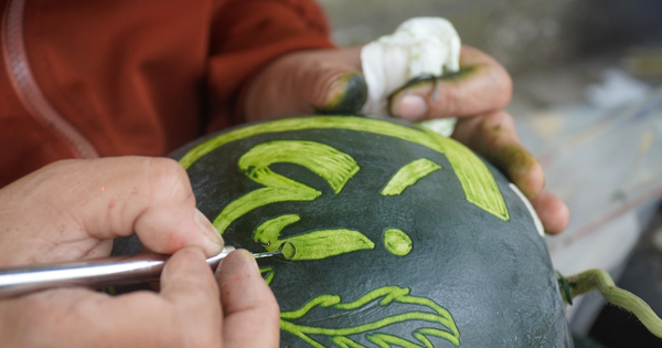 Watermelon carvers earn up to $194 each daily as Tet nears in Vietnam&rsquo;s Dong Thap