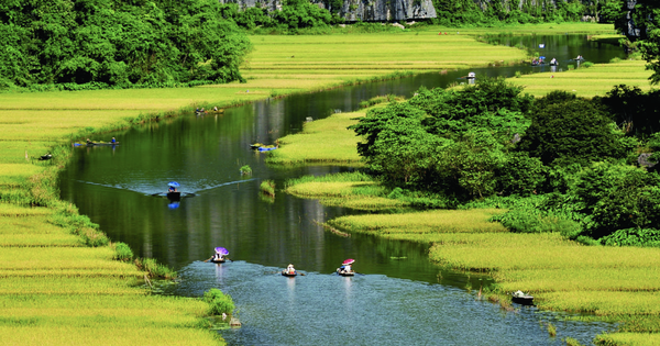 Breakfast @ Tuoi Tre News - February 3