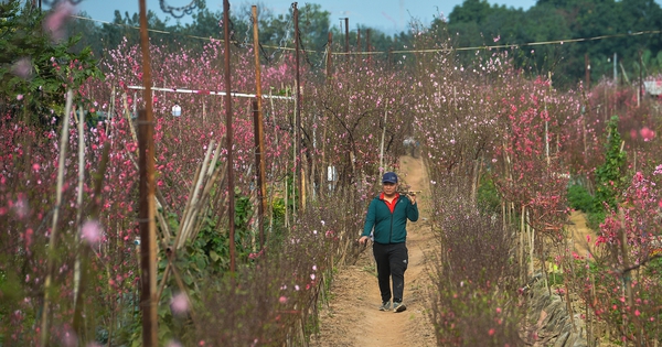 Breakfast @ Tuoi Tre News &mdash; February 9