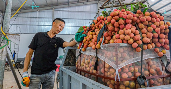 Breakfast @ Tuoi Tre News - March 14