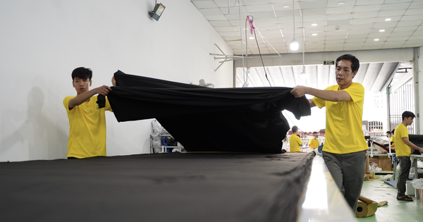 Vietnam's Businesses Freeze New Contracts as Global Economic Turbulence Sparks Urgent Calls for Government Intervention