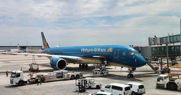 Vietnamese carriers to cut flights as fuel crisis hits operations