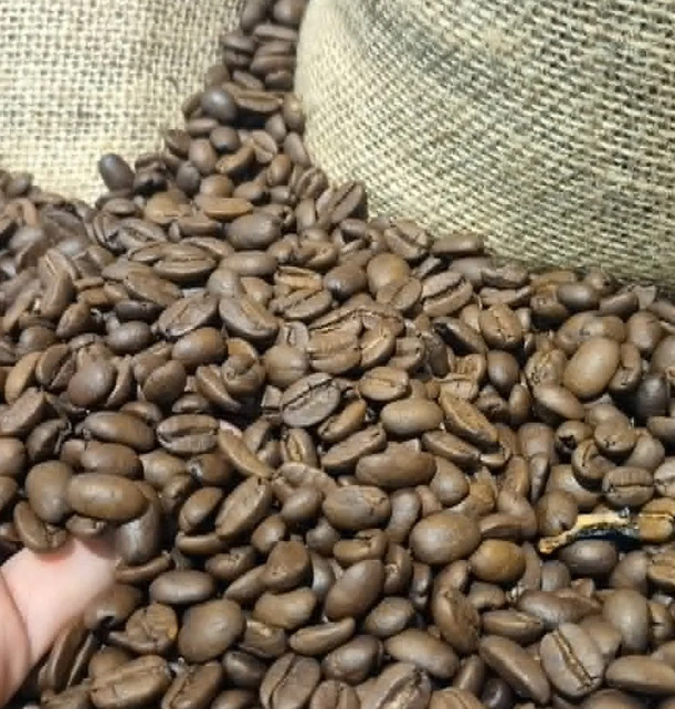 Đại ngàn không lớn lên từ một gốc cây, Robusta cũng vậy