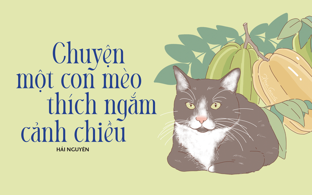 Truyện ngắn Mực Tím: Chuyện một con mèo thích ngắm cảnh chiều