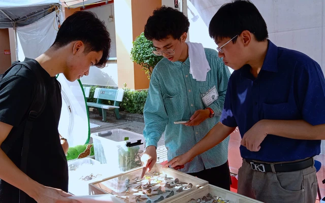 Sinh viên Nhân văn lan tỏa tình yêu nghệ thuật qua ‘Hoa Chào Ngõ Hạnh’