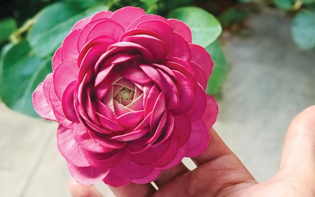 Độc đáo những đóa hoa kem, trông sống động như thật