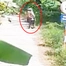  Trích xuất camera vụ hai người khiêng xác bạn nhậu bỏ ở vườn dừa nhà dân